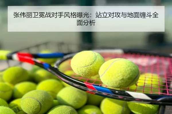 张伟丽卫冕战对手风格曝光：站立对攻与地面缠斗全面分析